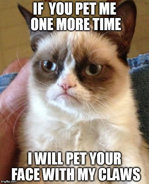 Grumpy Cat Meme | IF  YOU PET ME ONE MORE TIME I WILL PET YOUR FACE WITH MY CLAWS | image tagged in memes,grumpy cat | made w/ Imgflip meme maker