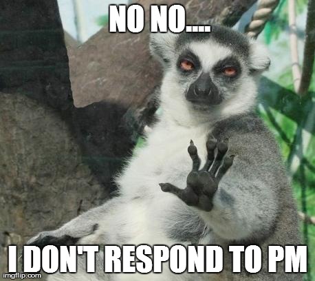 Stoner Lemur Meme | NO NO.... I DON'T RESPOND TO PM | image tagged in memes,stoner lemur | made w/ Imgflip meme maker