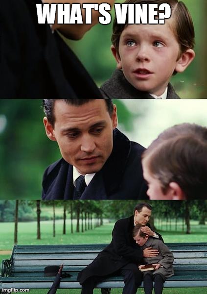Finding Neverland | WHAT'S VINE? | image tagged in memes,finding neverland | made w/ Imgflip meme maker