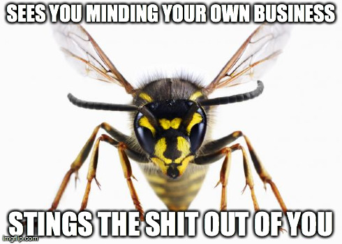 Scumbag Wasp | SEES YOU MINDING YOUR OWN BUSINESS STINGS THE SHIT OUT OF YOU | image tagged in scumbag wasp,AdviceAnimals | made w/ Imgflip meme maker