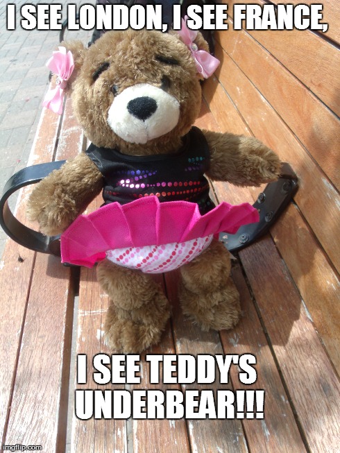 I SEE LONDON, I SEE FRANCE,  I SEE TEDDY'S UNDERBEAR!!! | image tagged in teddy bear | made w/ Imgflip meme maker
