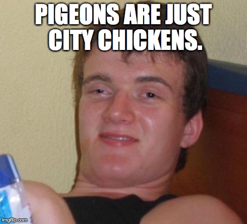 10 Guy | PIGEONS ARE JUST CITY CHICKENS. | image tagged in memes,10 guy | made w/ Imgflip meme maker