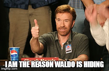 Chuck Norris Approves Meme | I AM THE REASON WALDO IS HIDING | image tagged in memes,chuck norris approves | made w/ Imgflip meme maker