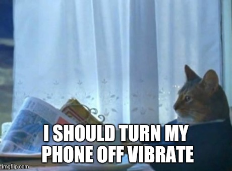 I Should Buy A Boat Cat | I SHOULD TURN MY PHONE OFF VIBRATE | image tagged in memes,i should buy a boat cat,AdviceAnimals | made w/ Imgflip meme maker
