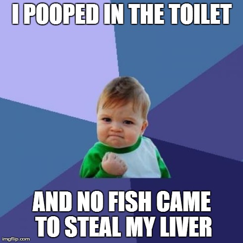 Success Kid Meme | I POOPED IN THE TOILET AND NO FISH CAME TO STEAL MY LIVER | image tagged in memes,success kid | made w/ Imgflip meme maker