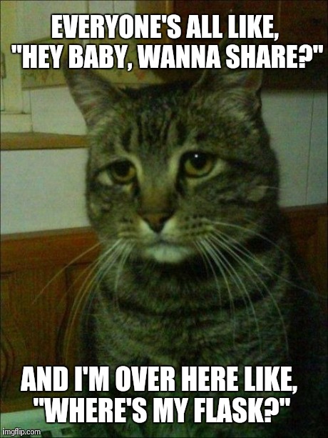 Depressed Cat Meme | EVERYONE'S ALL LIKE, "HEY BABY, WANNA SHARE?" AND I'M OVER HERE LIKE, "WHERE'S MY FLASK?" | image tagged in memes,depressed cat | made w/ Imgflip meme maker