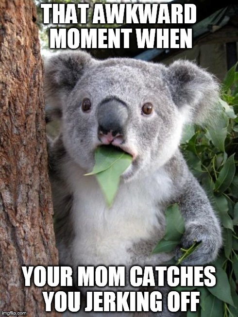 Surprised Koala Meme | THAT AWKWARD MOMENT WHEN YOUR MOM CATCHES YOU JERKING OFF | image tagged in memes,surprised koala | made w/ Imgflip meme maker