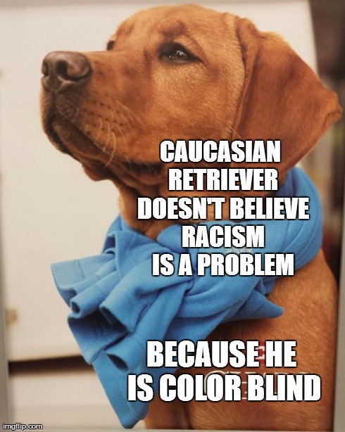 CAUCASIAN RETRIEVER DOESN'T BELIEVE RACISM IS A PROBLEM BECAUSE HE IS COLOR BLIND | image tagged in caucasian retriever | made w/ Imgflip meme maker