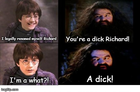 For those who don't get it, Dick is a shorter name for Richard. | I legally renamed myself Richard You're a dick Richard! I'm a what?! A dick! | image tagged in you're a x harry an x! | made w/ Imgflip meme maker