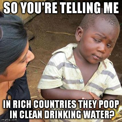 Because in the first world nations, that is exactly what happens. | SO YOU'RE TELLING ME IN RICH COUNTRIES THEY POOP IN CLEAN DRINKING WATER? | image tagged in memes,third world skeptical kid | made w/ Imgflip meme maker