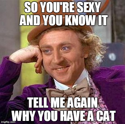 Creepy Condescending Wonka Meme | SO YOU'RE SEXY AND YOU KNOW IT TELL ME AGAIN WHY YOU HAVE A CAT | image tagged in memes,creepy condescending wonka | made w/ Imgflip meme maker