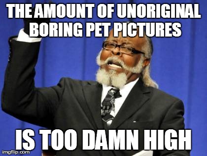 Too Damn High Meme | THE AMOUNT OF UNORIGINAL BORING PET PICTURES IS TOO DAMN HIGH | image tagged in memes,too damn high,AdviceAnimals | made w/ Imgflip meme maker