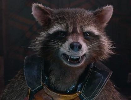 High Quality Rocket Raccoon Blank Meme Template