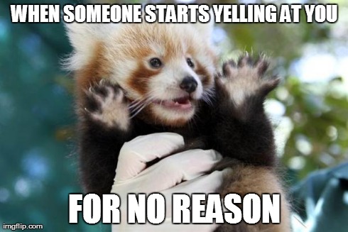 WHEN SOMEONE STARTS YELLING AT YOU FOR NO REASON | image tagged in red panda whoa | made w/ Imgflip meme maker