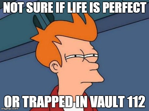 Futurama Fry Meme | NOT SURE IF LIFE IS PERFECT OR TRAPPED IN VAULT 112 | image tagged in memes,futurama fry | made w/ Imgflip meme maker