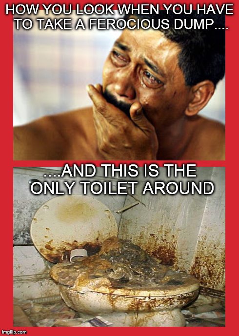 The Look Of Despair.... | HOW YOU LOOK WHEN YOU HAVE TO TAKE A FEROCIOUS DUMP.... ....AND THIS IS THE ONLY TOILET AROUND | image tagged in memes,toilet | made w/ Imgflip meme maker