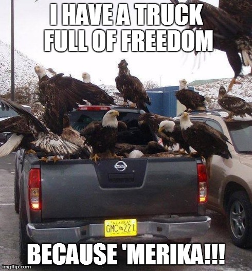 I HAVE A TRUCK FULL OF FREEDOM BECAUSE 'MERIKA!!! | image tagged in 'merica | made w/ Imgflip meme maker