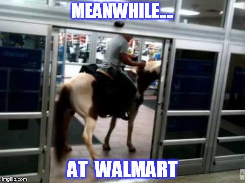 Meanwhile at Walmart.... | MEANWHILE.... AT  WALMART | image tagged in funny,walmart | made w/ Imgflip meme maker