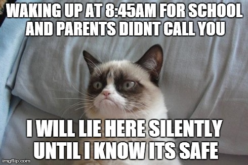Grumpy Cat Bed | WAKING UP AT 8:45AM FOR SCHOOL AND PARENTS DIDNT CALL YOU I WILL LIE HERE SILENTLY UNTIL I KNOW ITS SAFE | image tagged in memes,grumpy cat bed,grumpy cat | made w/ Imgflip meme maker
