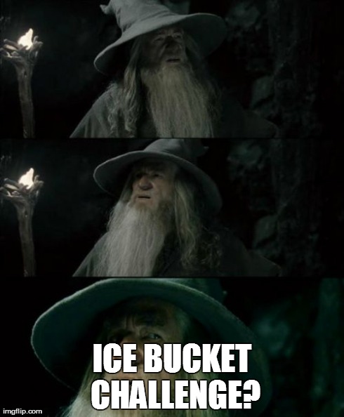 Confused Gandalf | ICE BUCKET CHALLENGE? | image tagged in memes,confused gandalf,AdviceAnimals | made w/ Imgflip meme maker