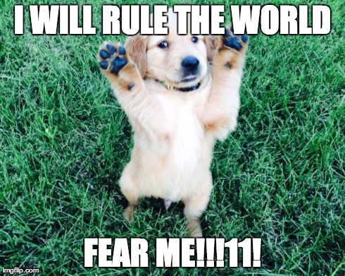 Daerp Dog | I WILL RULE THE WORLD FEAR ME!!!11! | image tagged in daerp dog,rule the world,fear me | made w/ Imgflip meme maker