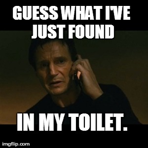 Liam Neeson Taken Meme | GUESS WHAT I'VE JUST FOUND IN MY TOILET. | image tagged in memes,liam neeson taken | made w/ Imgflip meme maker