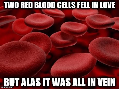 TWO RED BLOOD CELLS FELL IN LOVE BUT ALAS IT WAS ALL IN VEIN | image tagged in red blood cells | made w/ Imgflip meme maker