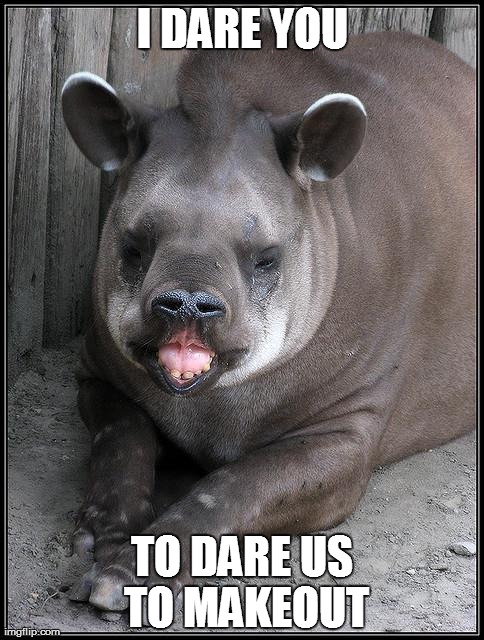 Drunk Pick-up Tapir | I DARE YOU TO DARE US TO MAKEOUT | image tagged in drunk pick-up tapir | made w/ Imgflip meme maker