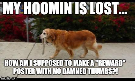 dog walking itself | MY HOOMIN IS LOST... HOW AM I SUPPOSED TO MAKE A "REWARD" POSTER WITH NO DAMNED THUMBS?! | image tagged in dog walking itself | made w/ Imgflip meme maker