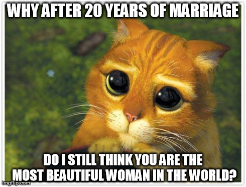 Shrek Cat Meme | WHY AFTER 20 YEARS OF MARRIAGE DO I STILL THINK YOU ARE THE MOST BEAUTIFUL WOMAN IN THE WORLD? | image tagged in shrek cat | made w/ Imgflip meme maker