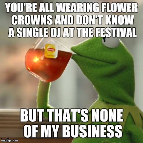 But That's None Of My Business | YOU'RE ALL WEARING FLOWER CROWNS AND DON'T KNOW A SINGLE DJ AT THE FESTIVAL BUT THAT'S NONE OF MY BUSINESS | image tagged in memes,but thats none of my business,kermit the frog | made w/ Imgflip meme maker