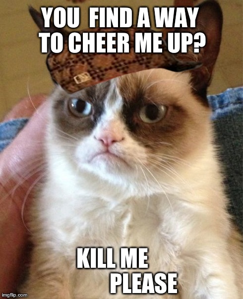 Grumpy Cat Meme | YOU  FIND A WAY TO CHEER ME UP? KILL ME              PLEASE | image tagged in memes,grumpy cat,scumbag | made w/ Imgflip meme maker