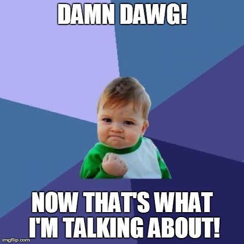 Success Kid | DAMN DAWG! NOW THAT'S WHAT I'M TALKING ABOUT! | image tagged in memes,success kid | made w/ Imgflip meme maker