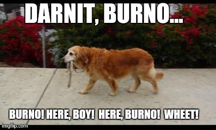 dog walking itself | DARNIT, BURNO... BURNO! HERE, BOY!  HERE, BURNO!  WHEET! | image tagged in dog walking itself | made w/ Imgflip meme maker