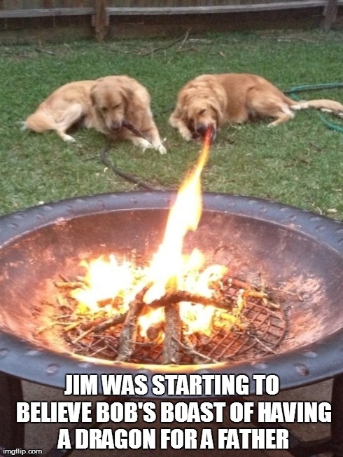 JIM WAS STARTING TO BELIEVE BOB'S BOAST OF HAVING A DRAGON FOR A FATHER | image tagged in dogs,dog,flame,fire,dragon,boast | made w/ Imgflip meme maker