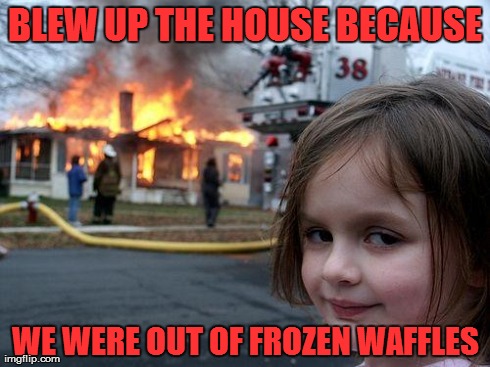 Disaster Girl Meme | BLEW UP THE HOUSE BECAUSE WE WERE OUT OF FROZEN WAFFLES | image tagged in memes,disaster girl | made w/ Imgflip meme maker