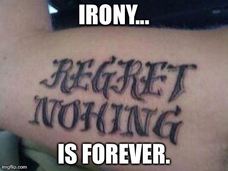 Irony rules. | IRONY... IS FOREVER. | image tagged in irony,pain,stupid | made w/ Imgflip meme maker