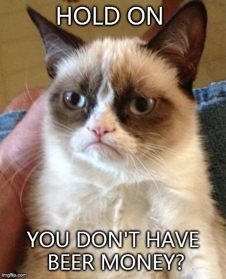 Grumpy Cat | HOLD ON  YOU DON'T HAVE BEER MONEY? | image tagged in memes,grumpy cat | made w/ Imgflip meme maker