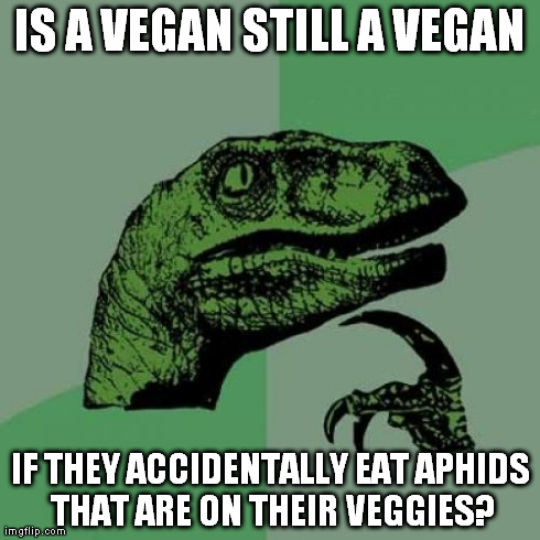 It's a real baffling thing since insects are technically meat.  Life feeds on life | IS A VEGAN STILL A VEGAN IF THEY ACCIDENTALLY EAT APHIDS THAT ARE ON THEIR VEGGIES? | image tagged in memes,philosoraptor,vegan | made w/ Imgflip meme maker