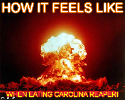 Nuclear Explosion | HOW IT FEELS LIKE WHEN EATING CAROLINA REAPER! | image tagged in memes,nuclear explosion | made w/ Imgflip meme maker