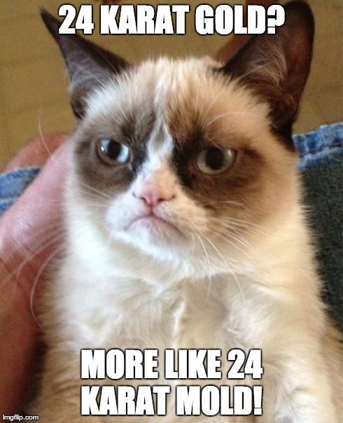 Grumpy Cat Meme | 24 KARAT GOLD? MORE LIKE 24 KARAT MOLD! | image tagged in memes,grumpy cat | made w/ Imgflip meme maker