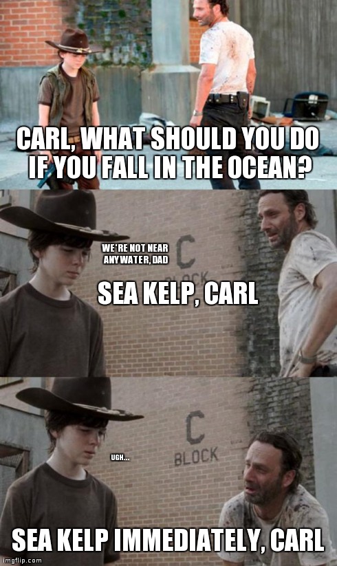 Rick and Carl 3 Meme | CARL, WHAT SHOULD YOU DO IF YOU FALL IN THE OCEAN? SEA KELP IMMEDIATELY, CARL SEA KELP, CARL WE'RE NOT NEAR ANY WATER, DAD UGH... | image tagged in /r/heycarl 3,HeyCarl | made w/ Imgflip meme maker