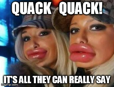 Duck Face Chicks Meme | QUACK   QUACK! IT'S ALL THEY CAN REALLY SAY | image tagged in memes,duck face chicks | made w/ Imgflip meme maker