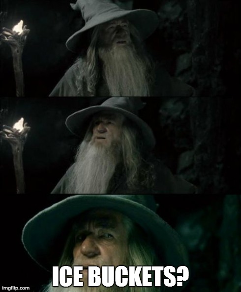 Confused Gandalf Meme | ICE BUCKETS? | image tagged in memes,confused gandalf | made w/ Imgflip meme maker