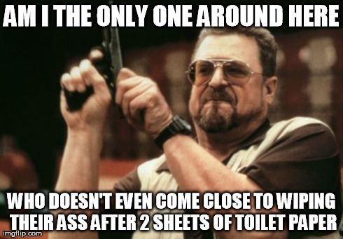 Am I The Only One Around Here Meme | AM I THE ONLY ONE AROUND HERE WHO DOESN'T EVEN COME CLOSE TO WIPING THEIR ASS AFTER 2 SHEETS OF TOILET PAPER | image tagged in memes,am i the only one around here | made w/ Imgflip meme maker