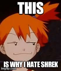 Derp Face Misty | THIS IS WHY I HATE SHREK | image tagged in derp face misty | made w/ Imgflip meme maker
