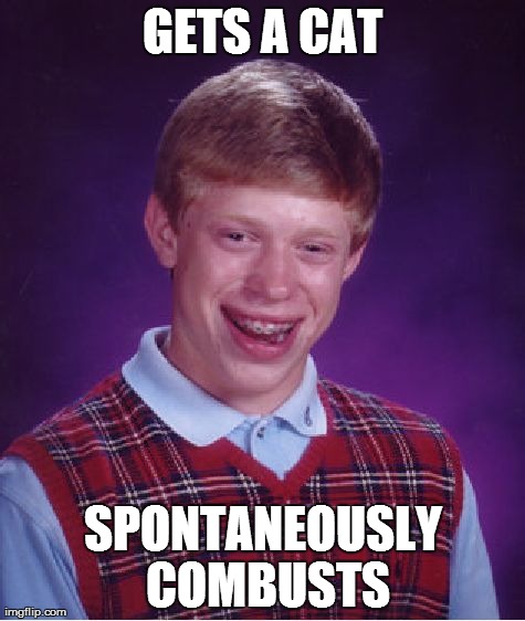 Bad Luck Brian Meme | GETS A CAT SPONTANEOUSLY COMBUSTS | image tagged in memes,bad luck brian | made w/ Imgflip meme maker