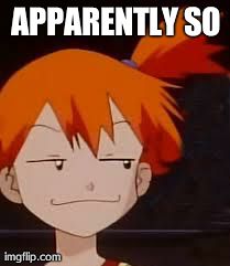 Derp Face Misty | APPARENTLY SO | image tagged in derp face misty | made w/ Imgflip meme maker