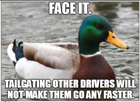 Just face it. | FACE IT. TAILGATING OTHER DRIVERS WILL NOT MAKE THEM GO ANY FASTER. | image tagged in memes,actual advice mallard,driving | made w/ Imgflip meme maker