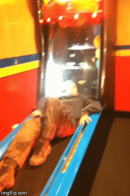 image tagged in gifs | made w/ Imgflip video-to-gif maker